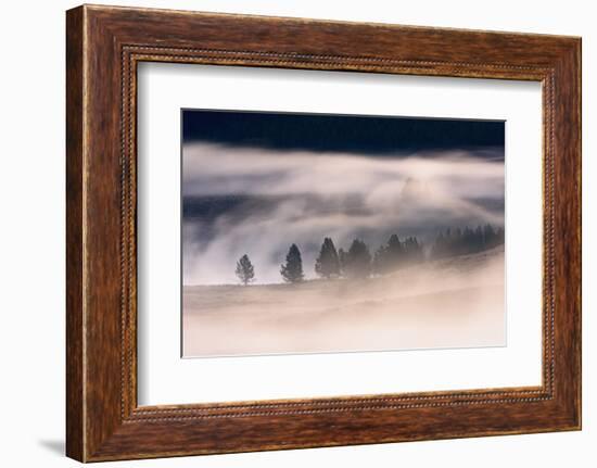 Misty Dawn over Hayden Valley, Yellowstone National Park, Wyoming, United States of America-Gary Cook-Framed Photographic Print