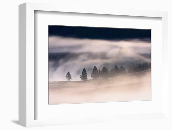 Misty Dawn over Hayden Valley, Yellowstone National Park, Wyoming, United States of America-Gary Cook-Framed Photographic Print