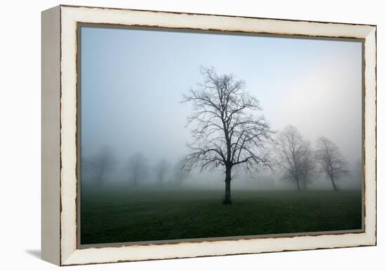 Misty Dawn, Victoria Park, Bristol, England, United Kingdom, Europe-Bill Ward-Framed Premier Image Canvas