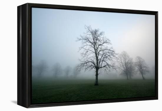 Misty Dawn, Victoria Park, Bristol, England, United Kingdom, Europe-Bill Ward-Framed Premier Image Canvas