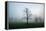 Misty Dawn, Victoria Park, Bristol, England, United Kingdom, Europe-Bill Ward-Framed Premier Image Canvas