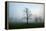 Misty Dawn, Victoria Park, Bristol, England, United Kingdom, Europe-Bill Ward-Framed Premier Image Canvas
