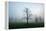 Misty Dawn, Victoria Park, Bristol, England, United Kingdom, Europe-Bill Ward-Framed Premier Image Canvas