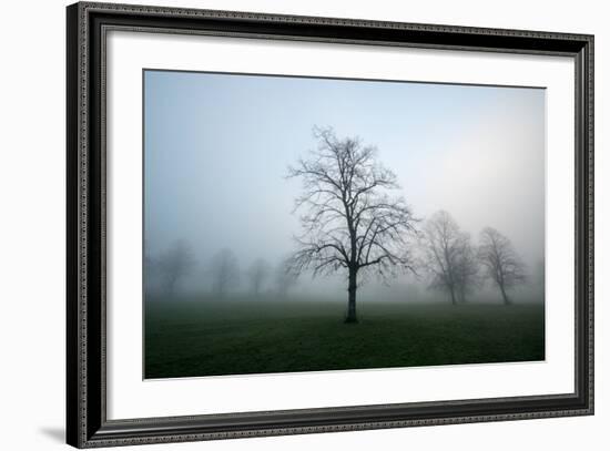 Misty Dawn, Victoria Park, Bristol, England, United Kingdom, Europe-Bill Ward-Framed Photographic Print