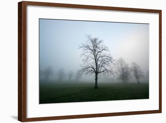 Misty Dawn, Victoria Park, Bristol, England, United Kingdom, Europe-Bill Ward-Framed Photographic Print