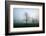 Misty Dawn, Victoria Park, Bristol, England, United Kingdom, Europe-Bill Ward-Framed Photographic Print