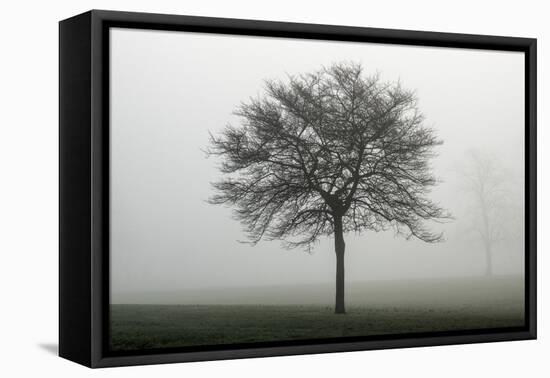 Misty Dawn, Victoria Park, Bristol, England, United Kingdom, Europe-Bill Ward-Framed Premier Image Canvas