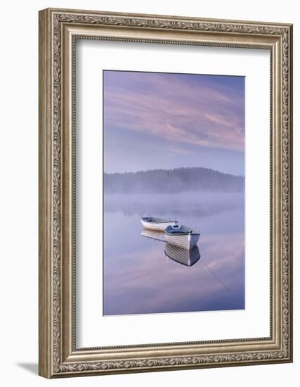 Misty daybreak over Loch Rusky in May, Aberfoyle, The Trossachs, Scotland, United Kingdom, Europe-John Potter-Framed Photographic Print