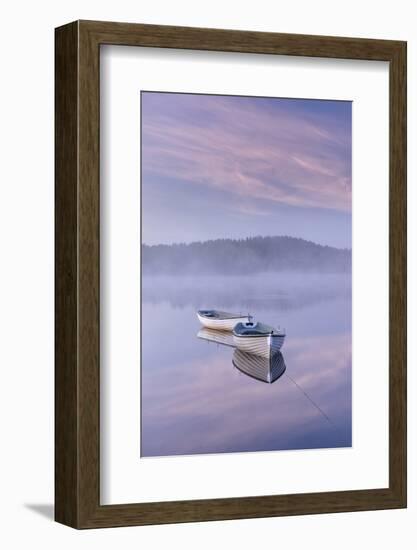 Misty daybreak over Loch Rusky in May, Aberfoyle, The Trossachs, Scotland, United Kingdom, Europe-John Potter-Framed Photographic Print