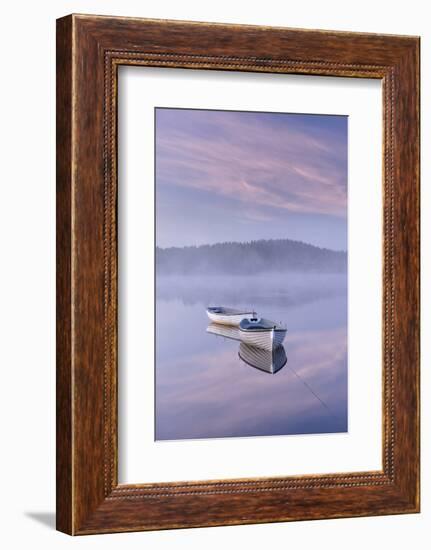 Misty daybreak over Loch Rusky in May, Aberfoyle, The Trossachs, Scotland, United Kingdom, Europe-John Potter-Framed Photographic Print