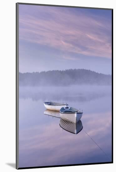 Misty daybreak over Loch Rusky in May, Aberfoyle, The Trossachs, Scotland, United Kingdom, Europe-John Potter-Mounted Photographic Print