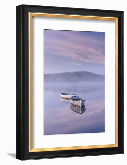 Misty daybreak over Loch Rusky in May, Aberfoyle, The Trossachs, Scotland, United Kingdom, Europe-John Potter-Framed Photographic Print