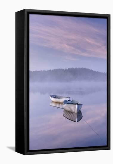 Misty daybreak over Loch Rusky in May, Aberfoyle, The Trossachs, Scotland, United Kingdom, Europe-John Potter-Framed Premier Image Canvas