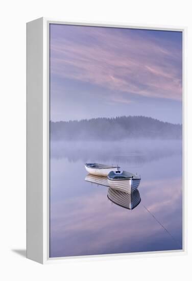 Misty daybreak over Loch Rusky in May, Aberfoyle, The Trossachs, Scotland, United Kingdom, Europe-John Potter-Framed Premier Image Canvas