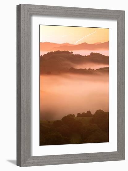 Misty East Bay Hills at Sunrise Oakland Fog Landscape-Vincent James-Framed Photographic Print