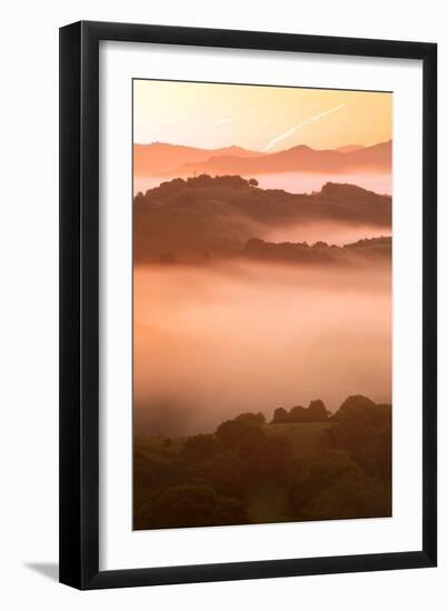 Misty East Bay Hills at Sunrise Oakland Fog Landscape-Vincent James-Framed Photographic Print