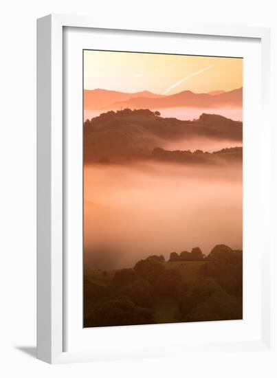 Misty East Bay Hills at Sunrise Oakland Fog Landscape-Vincent James-Framed Photographic Print