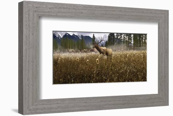 Misty Elk-Steve Hunziker-Framed Art Print