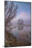 Misty Foggy Tree Scene, Merced Wildlife Refuge-null-Mounted Photographic Print