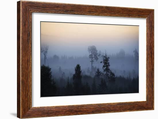 Misty Horizons-Andreas Stridsberg-Framed Giclee Print