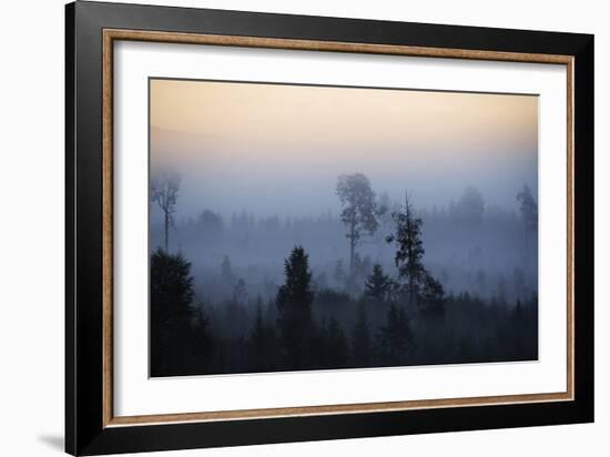 Misty Horizons-Andreas Stridsberg-Framed Giclee Print