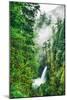 Misty Magical Metlako Falls, Columbia River Gorge, Oregon-Vincent James-Mounted Photographic Print