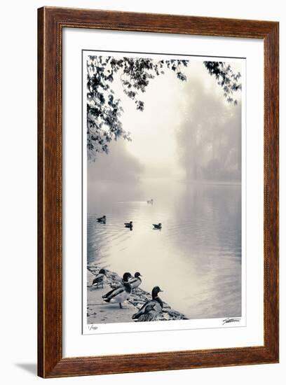 Misty Mallards-Donald Satterlee-Framed Giclee Print