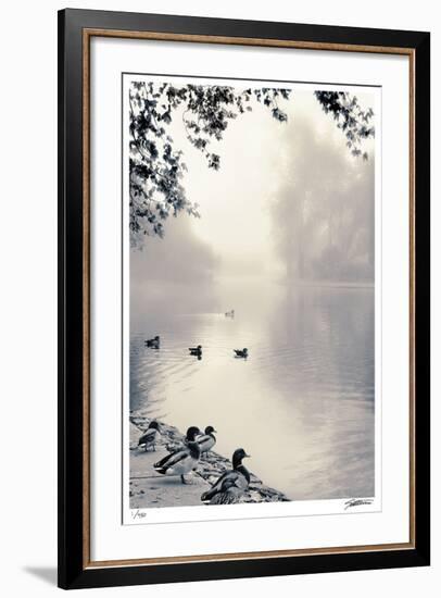 Misty Mallards-Donald Satterlee-Framed Giclee Print