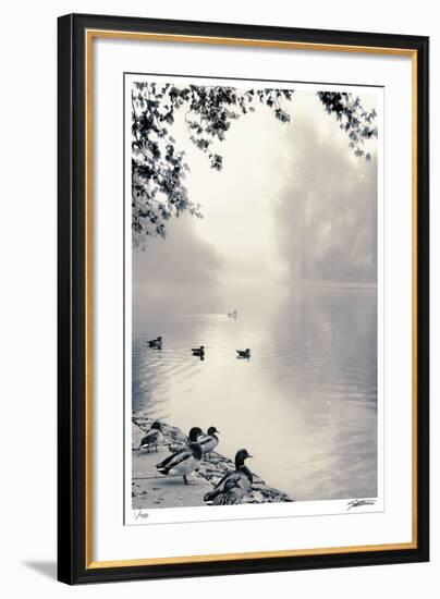 Misty Mallards-Donald Satterlee-Framed Giclee Print