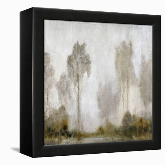 Misty Marsh I-Tim O'toole-Framed Stretched Canvas