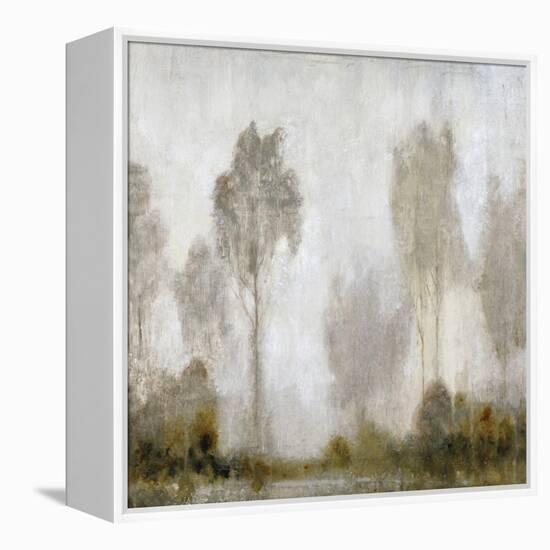 Misty Marsh I-Tim O'toole-Framed Stretched Canvas