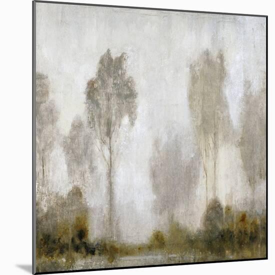 Misty Marsh I-Tim O'toole-Mounted Art Print