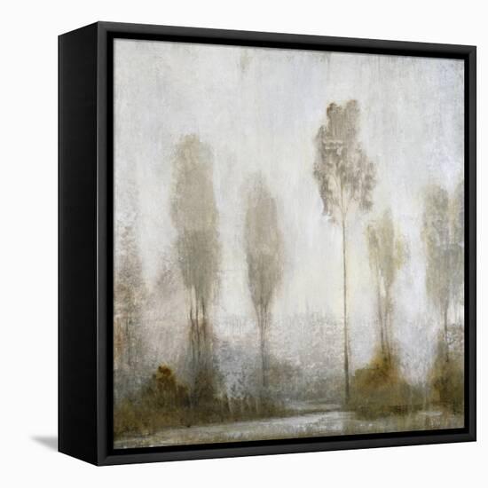 Misty Marsh II-Tim O'toole-Framed Stretched Canvas