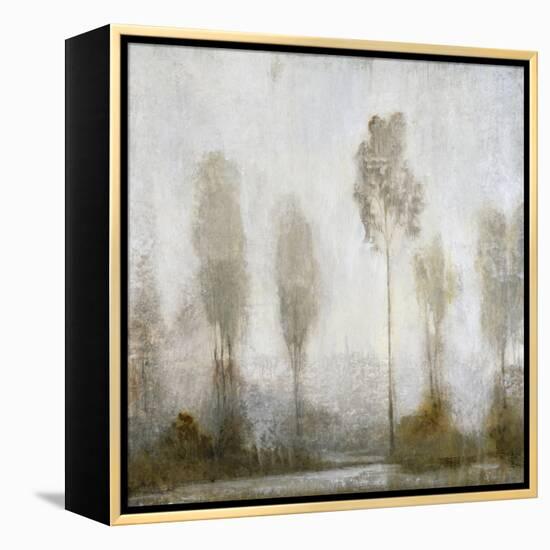Misty Marsh II-Tim O'toole-Framed Stretched Canvas
