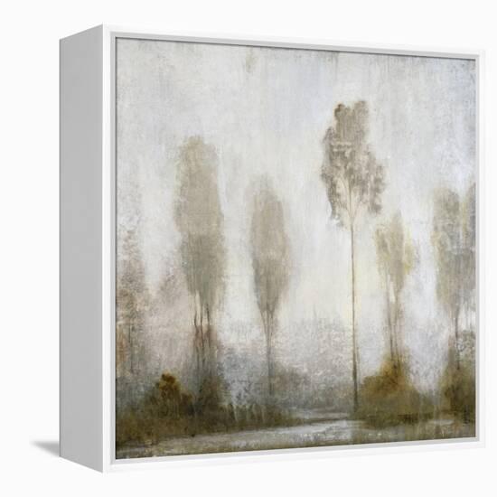 Misty Marsh II-Tim O'toole-Framed Stretched Canvas