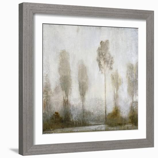 Misty Marsh II-Tim O'toole-Framed Art Print