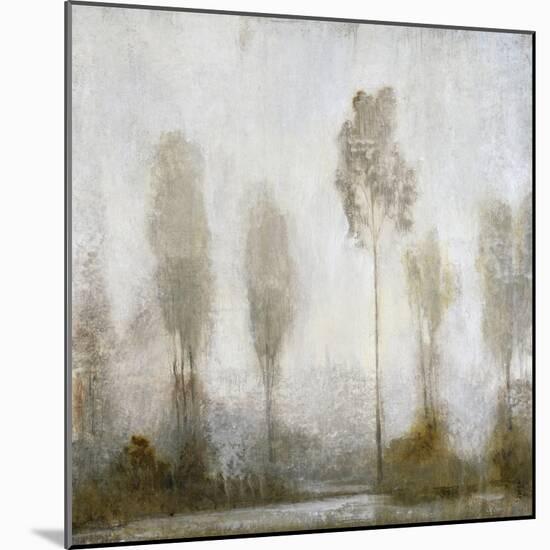 Misty Marsh II-Tim O'toole-Mounted Art Print