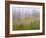 Misty Meadow Scenic, Revelstoke National Park, British Columbia, Canada-Don Paulson-Framed Photographic Print