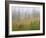 Misty Meadow Scenic, Revelstoke National Park, British Columbia, Canada-Don Paulson-Framed Photographic Print