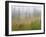 Misty Meadow Scenic, Revelstoke National Park, British Columbia, Canada-Don Paulson-Framed Photographic Print