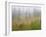 Misty Meadow Scenic, Revelstoke National Park, British Columbia, Canada-Don Paulson-Framed Photographic Print