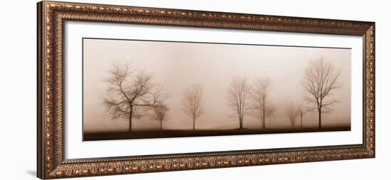 Misty Meadow-Erin Clark-Framed Art Print