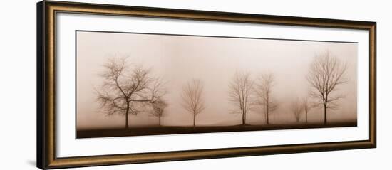 Misty Meadow-Erin Clark-Framed Art Print