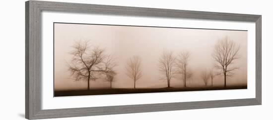 Misty Meadow-Erin Clark-Framed Art Print