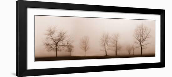 Misty Meadow-Erin Clark-Framed Art Print