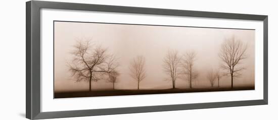 Misty Meadow-Erin Clark-Framed Art Print