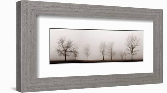 Misty Meadow-Erin Clark-Framed Art Print