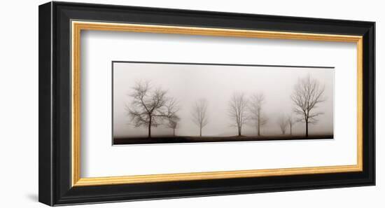 Misty Meadow-Erin Clark-Framed Art Print