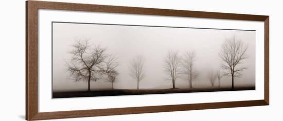 Misty Meadow-Erin Clark-Framed Art Print