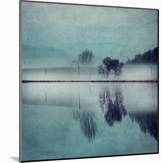 Misty Mirror-Dirk Wuestenhagen-Mounted Art Print